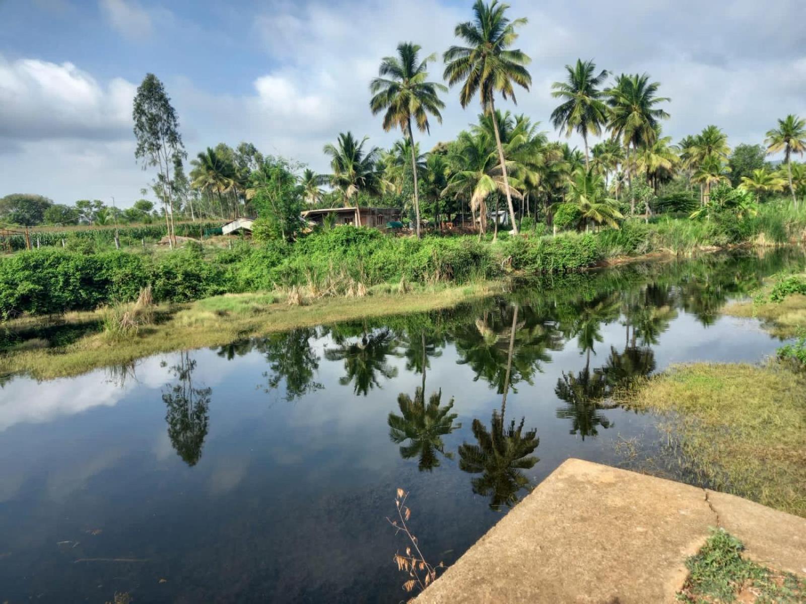 Отель Wilderness Jungle Camp Malavalli Экстерьер фото